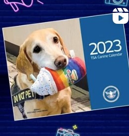 Retired K9 EEbbers holding a stuffed plushie on the cover of TSA 2023 Cutest Canine Calendar