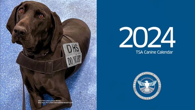 TSA K9 Dina from LAS on the cover of TSA's 2024 Canine Calendar 