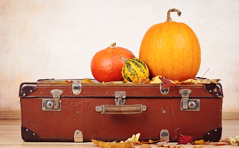 Pumpkins on a suitcase. 