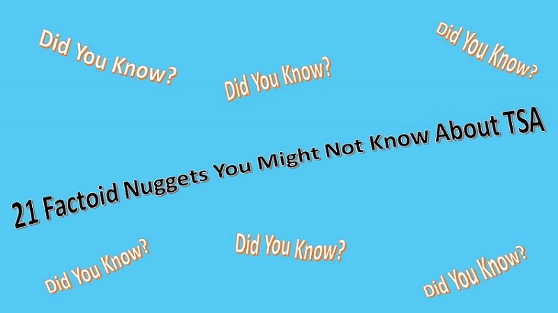 Did You Know? 21 Factoid Nuggets Banner