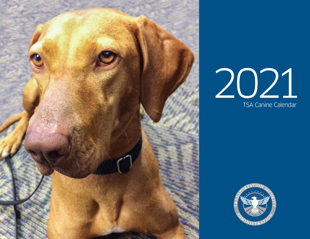 TSA K9; 2021 Canine Calendar; TSA Insignia