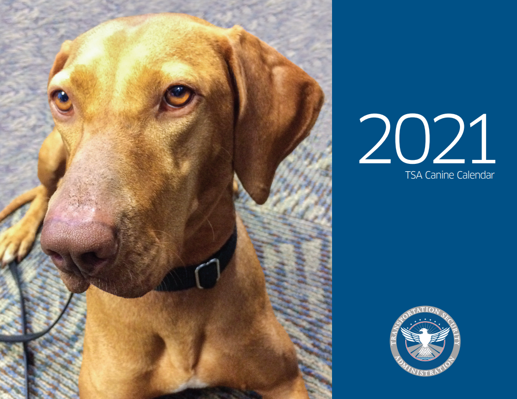 get-your-2021-tsa-canine-calendar-today-transportation-security-administration