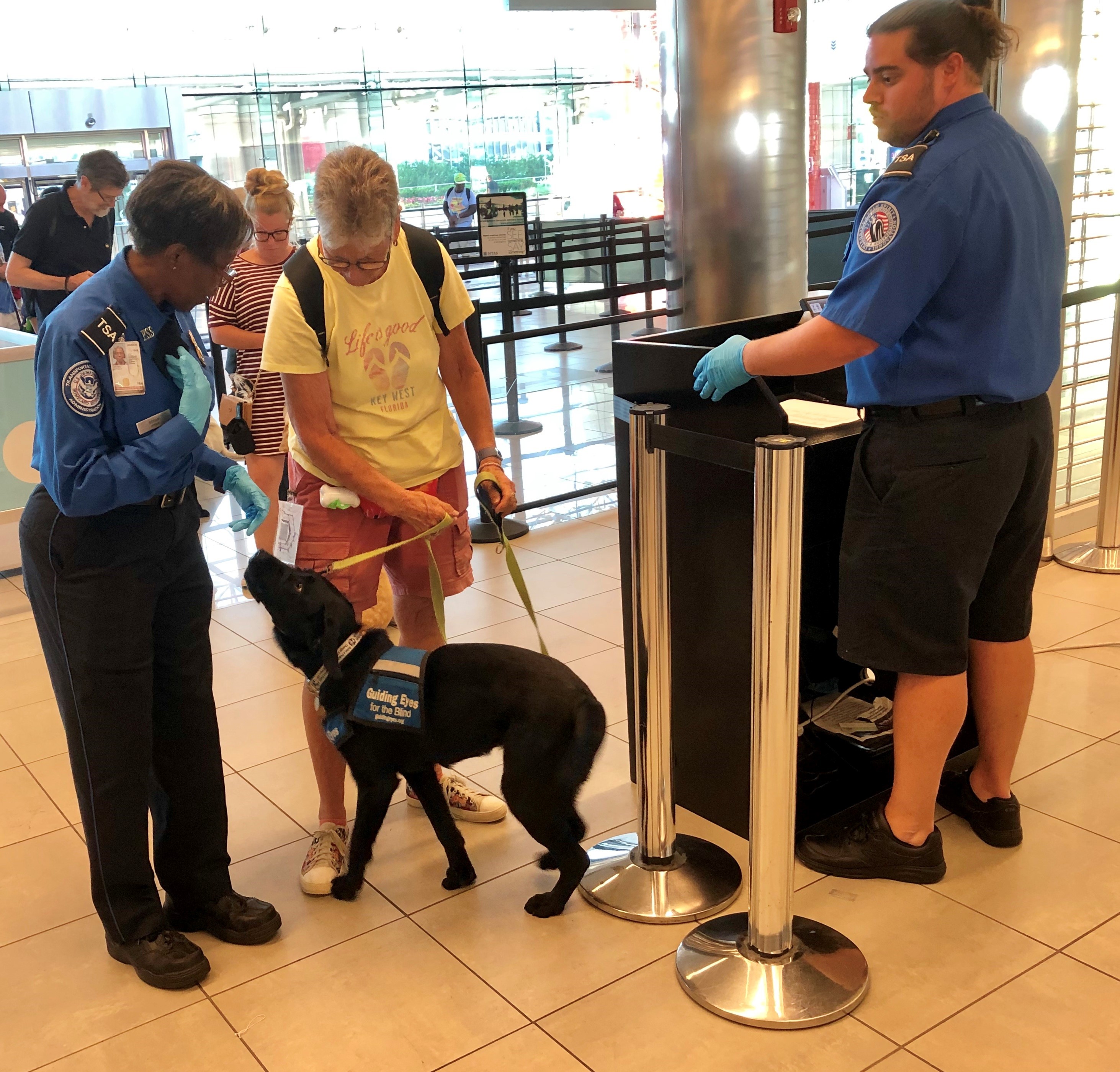 what-are-tsa-dogs-trained-for