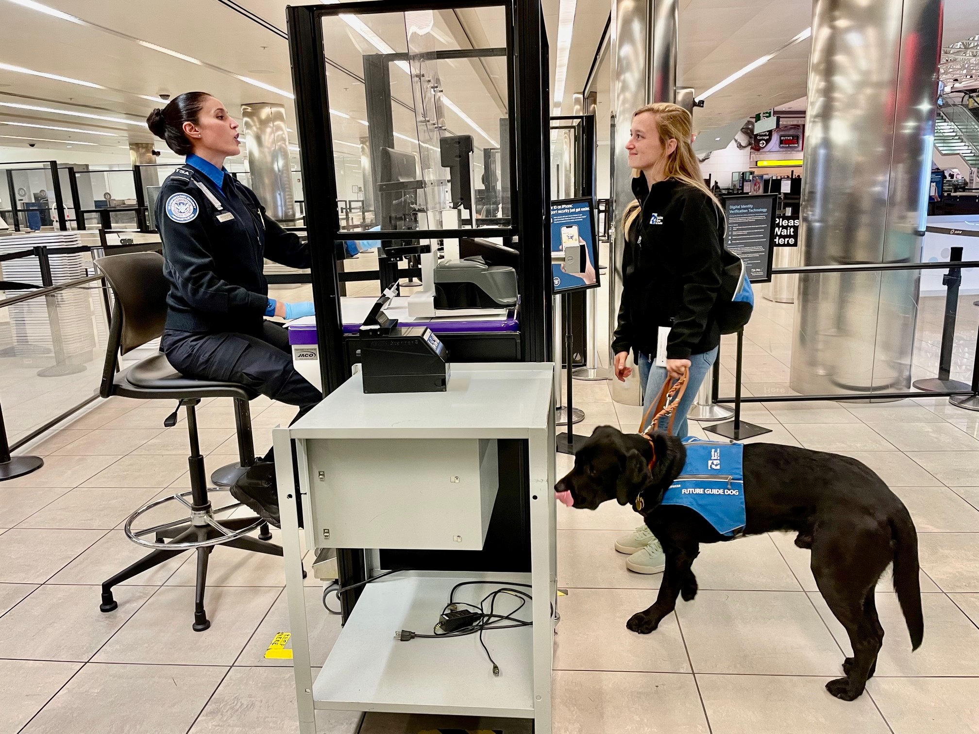 Guide Dogs Explore TSA Checkpoint And Other Areas Of The BWI Airport 