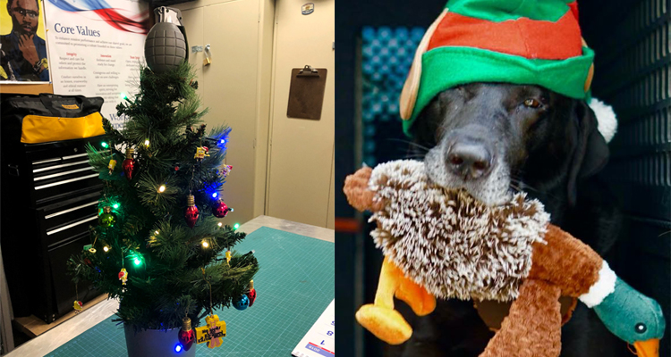 Christmas tree and TSA canine