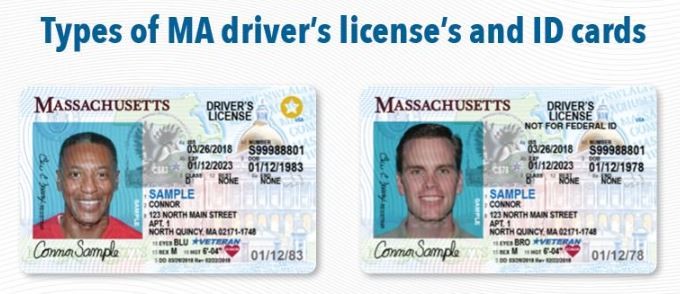 MA ID Examples