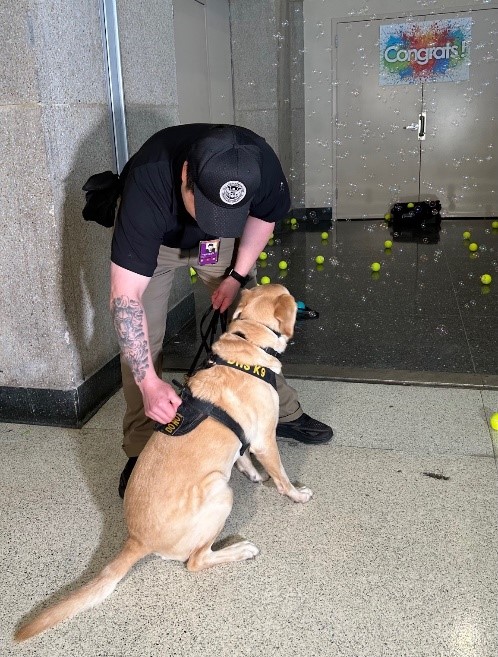 Messi’s “Do Not Pet” patch is removed, marking his official retirement from working status to being a pet. (TSA photo