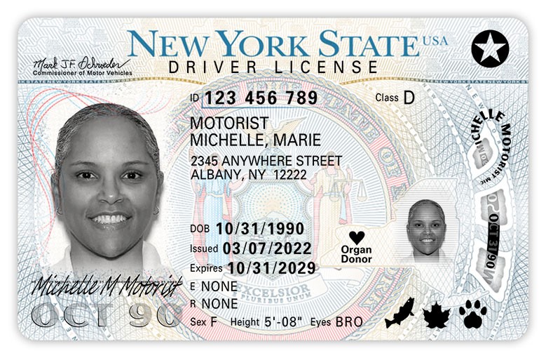 Check point: New Virginia driver's licenses will be needed to fly  domestically beginning October 2020