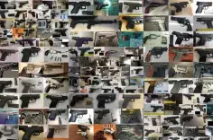 2018 Guns image