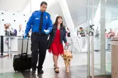Navigating the Airport with a Guide Dog