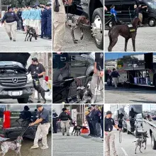 TSA canine teams searching vehicles outside the event and hotel spaces. (Photo courtesy of Chris Hartman)
