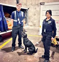 K2 Solutions Canine Handler Logan Swett, his partner Rango and Lead TSA Inspector-Cargo Priya Prikita. (Photo courtesy of TSA Sacramento)