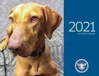 The cover of the calendar features Kajla, who was voted as TSA’s 2020 Cutest Canine Contest Winner. This Vizsla works out of Daniel K. Inouye International Airport in Honolulu, Hawaii. (TSA photo)