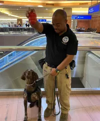 Walter waits for his reward from his partner Damon Weathersbee after both traveled from Los Angeles to Phoenix to support Super Bowl LVII transportation security efforts. (Photo by Lorie Dankers)