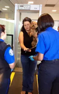TSA tips on traveling with pets through a security checkpoint at LaGuardia Airport