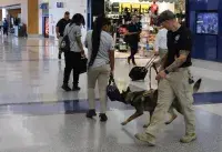 TSA Canine Handler Chris Eulitz and his partner Alf search for explosives as students from the Detroit Police Prep Academy serve as decoys. (Photo courtesy of TSA DTW)