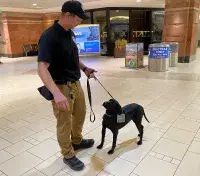 The Las Vegas TSA canine team of Dina and her handler Nicholas Goyak were deployed to Phoenix to support 