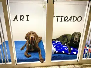 Ari and TTirado take a well-deserved rest. 