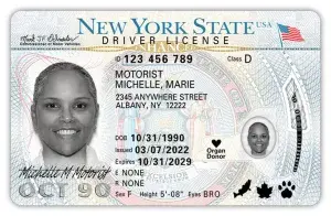 A New York State enhanced driver license photo