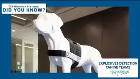 TSA Historian Presents: Did You Know? - Canines