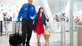 Traveling with a guide dog thumbnail