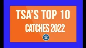 Top Ten Catches of 2022