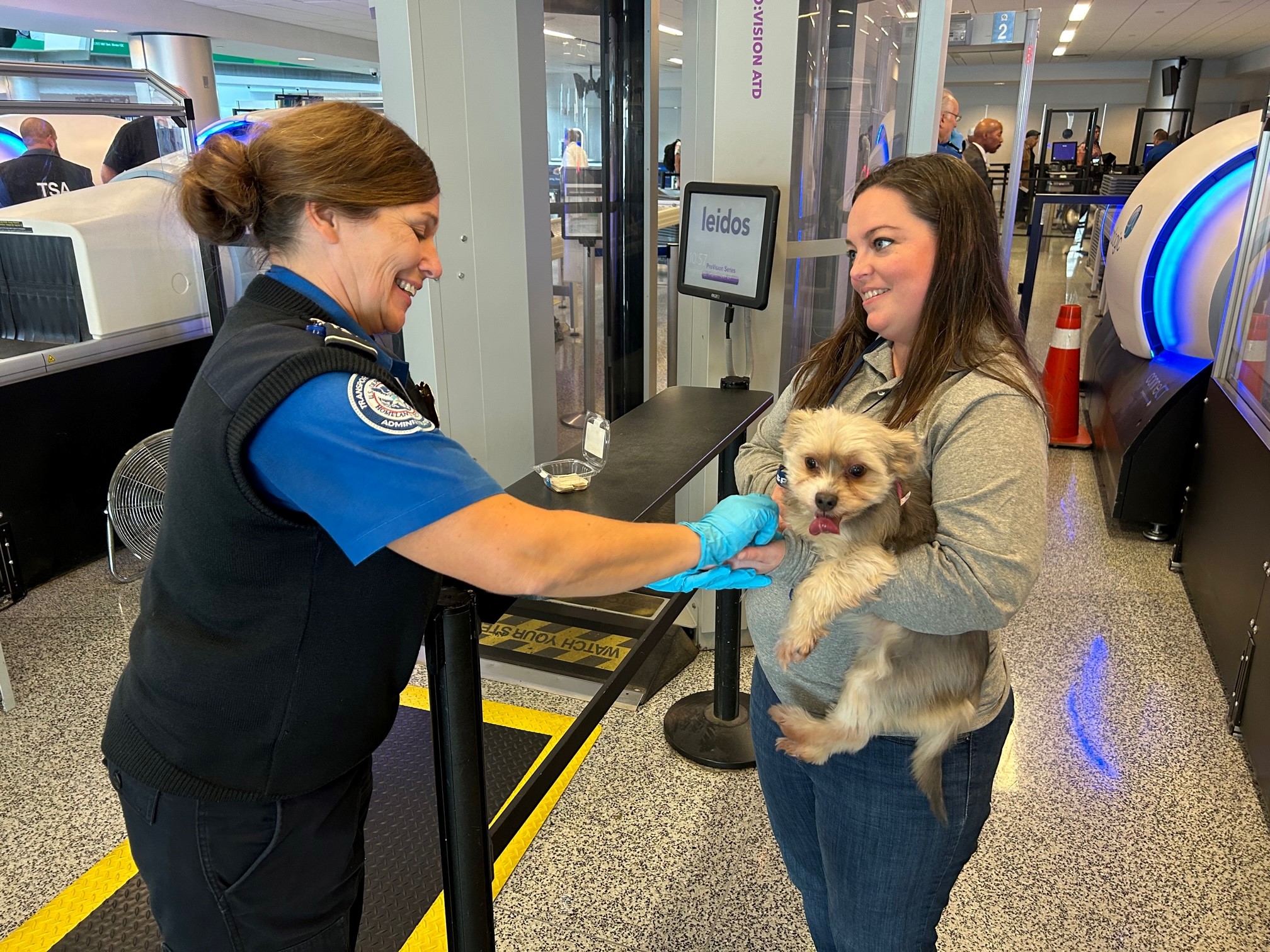 After walking her dog through the checkpoint scanner, a TSA officer swabs the hands of the passenger to check for any traces of explosives. (TSA photo)